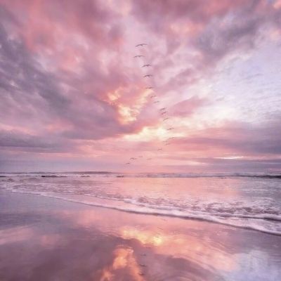 NG28加拿大软件下载