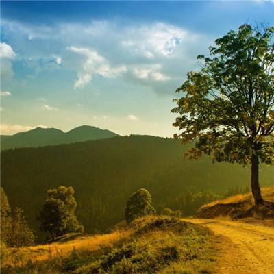 万博体育官方app